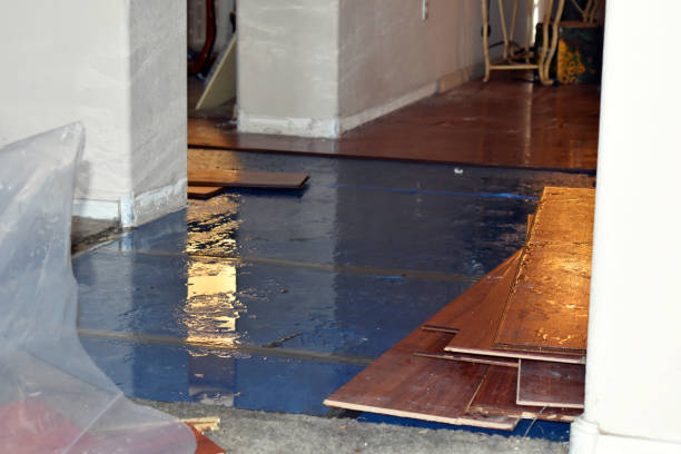 Professional Flood Damage Restoration technician working in Mora, MN
